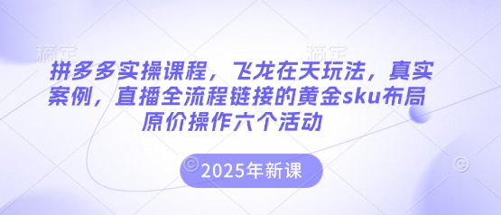 拼多多实操课程,飞龙在天玩法,真实案例,直播全流程链接的黄金sku布局原价操作六个活动-轻创终点站